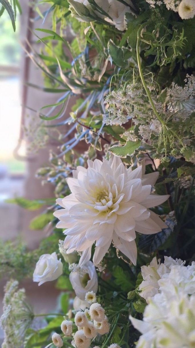 Fleurs blanches et vertes, incluant une grande fleur de lotus, sur un fond naturel.