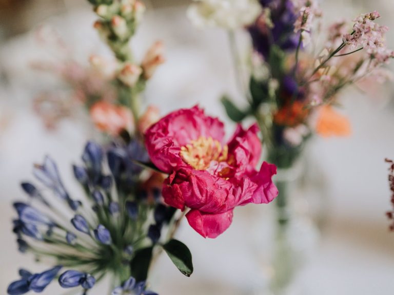 Mariage en plein air avec un couple assis sous un arbre, entouré de fleurs colorées.