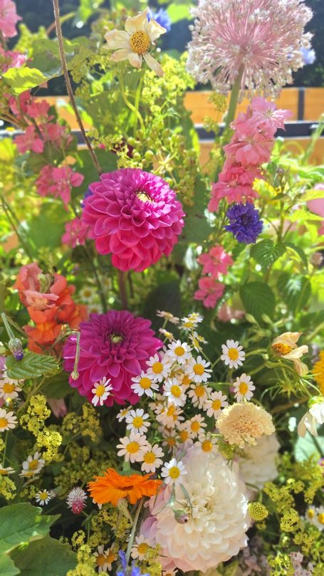 Un assortiment coloré de fleurs variées, incluant des dahlias, marguerites et autres.